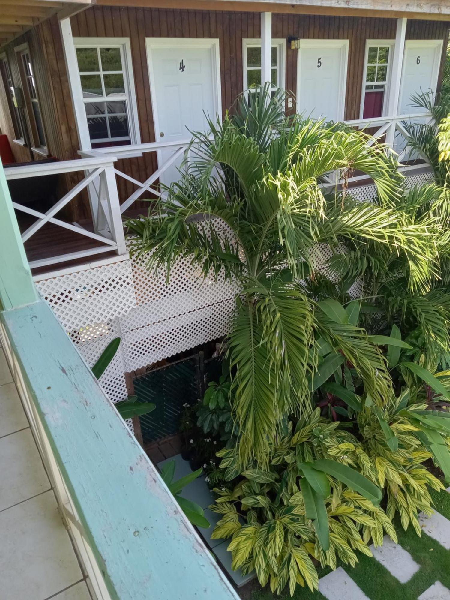 Apartment Unforgetable Gardens Falmouth Harbour Екстериор снимка