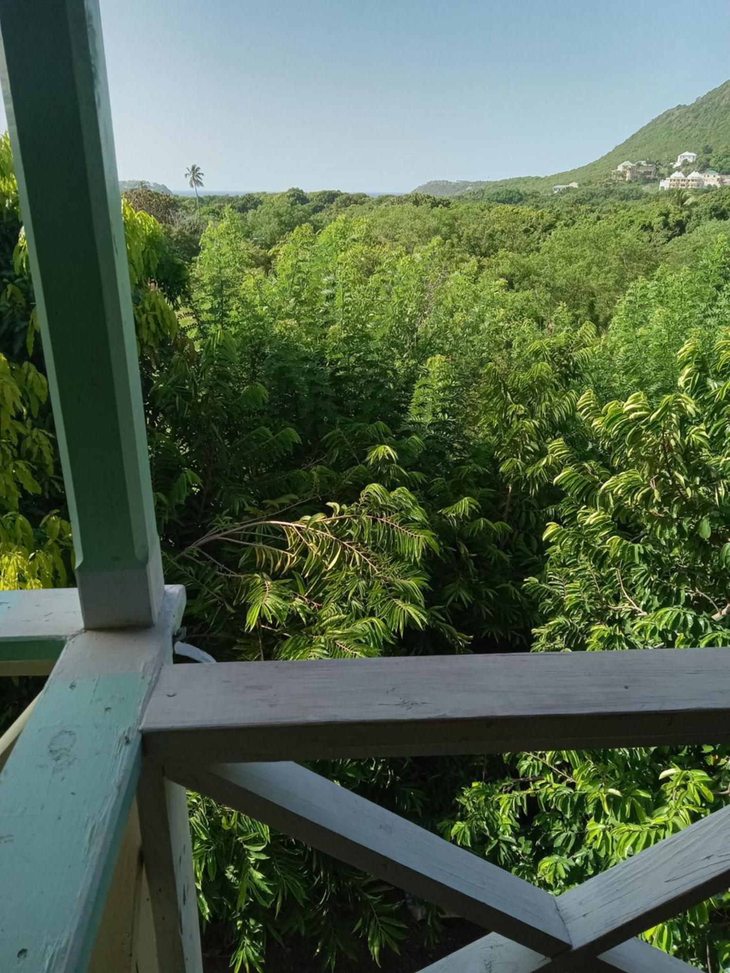 Apartment Unforgetable Gardens Falmouth Harbour Екстериор снимка